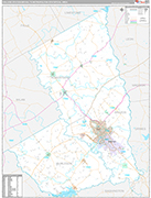 College Station-Bryan Wall Map Premium Style